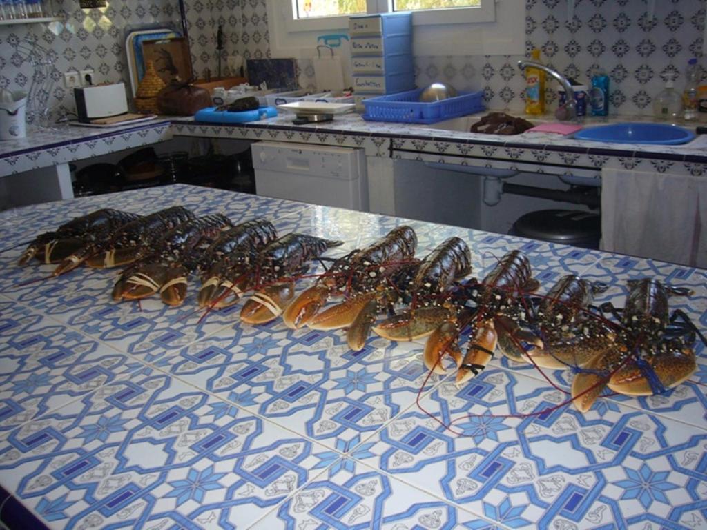 Villa Daba เอล กาห์ซัวเน ภายนอก รูปภาพ